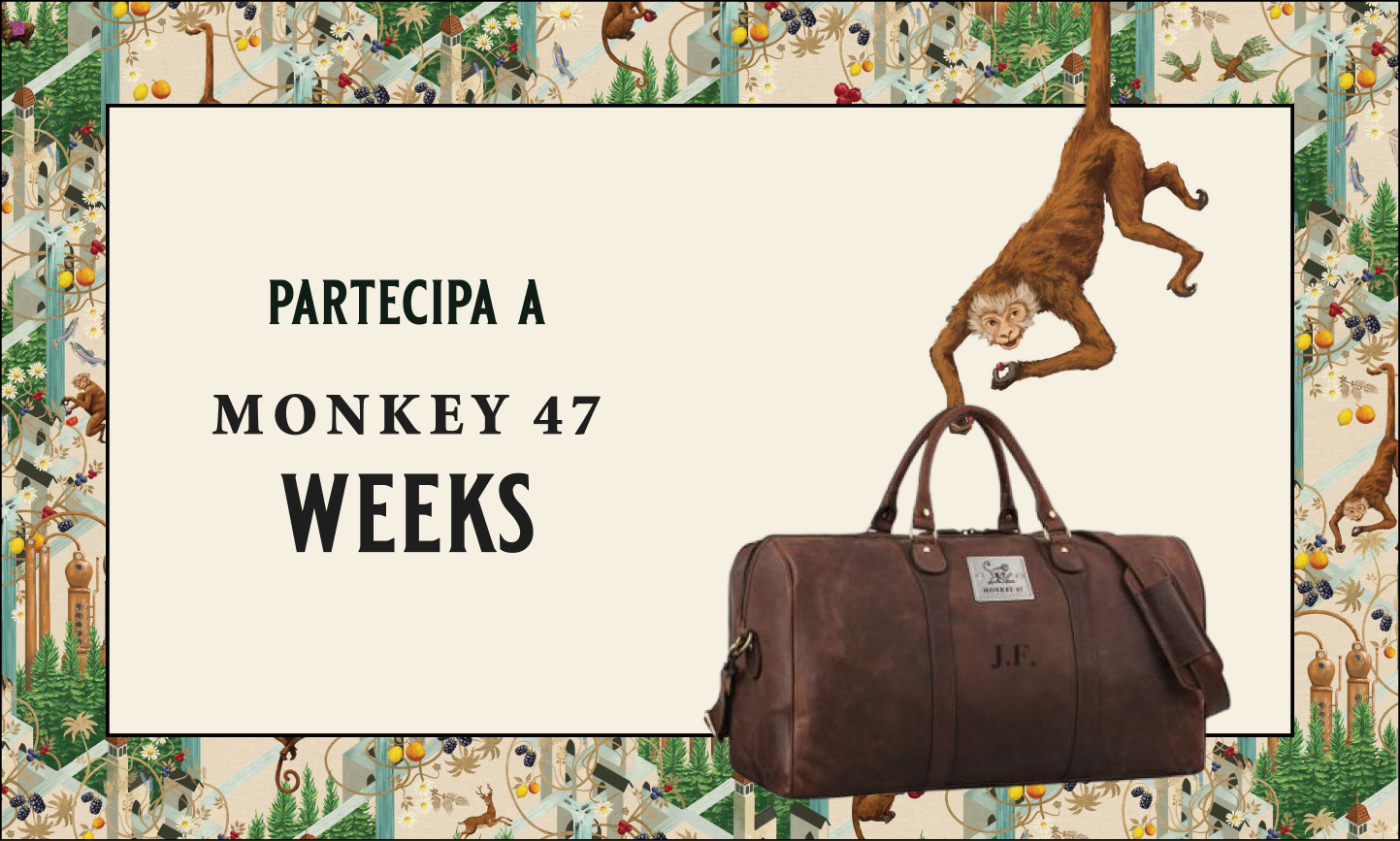 Visual Monkey 47 Weeks